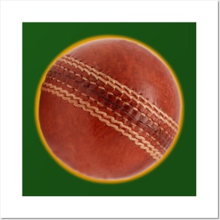 cricket ball Posters and Art